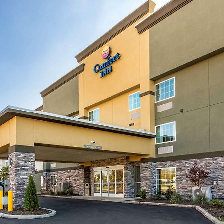 Comfort Inn Airport Memphis Exteriör bild